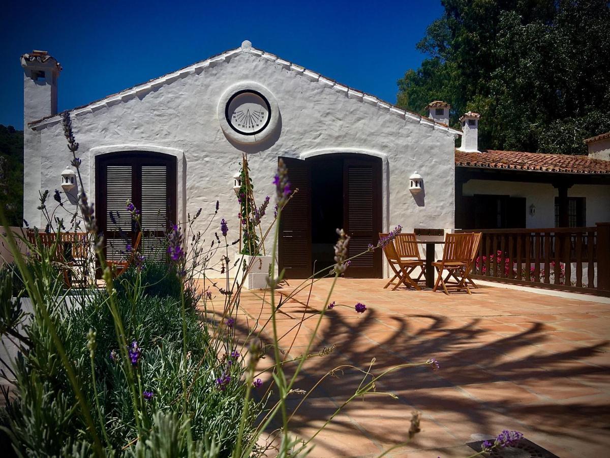 El Molino Εστεπόνα Εξωτερικό φωτογραφία
